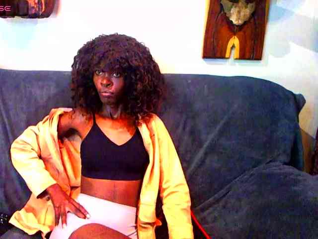 Model: Natussi