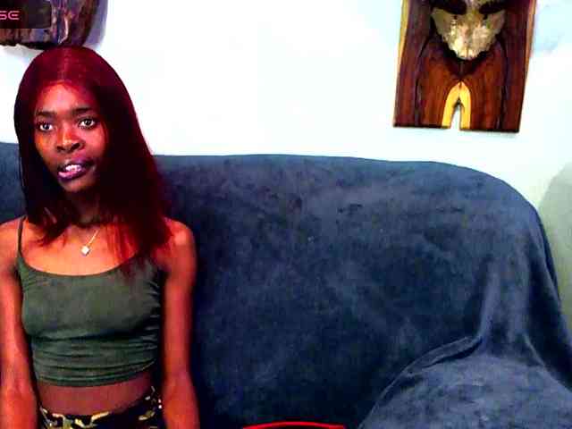 Natussi webcam