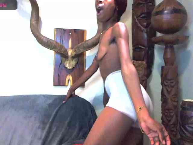Model: Natussi