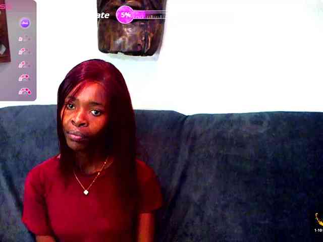 Natussi webcam