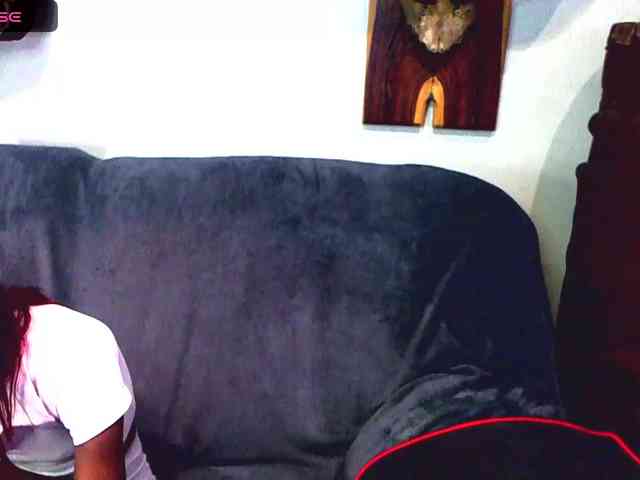 Natussi webcam