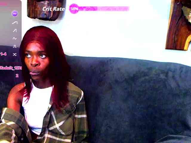 Natussi webcam