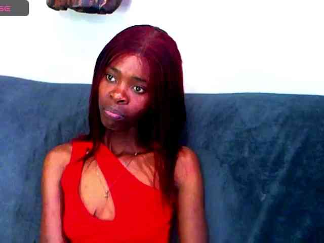 Natussi webcam
