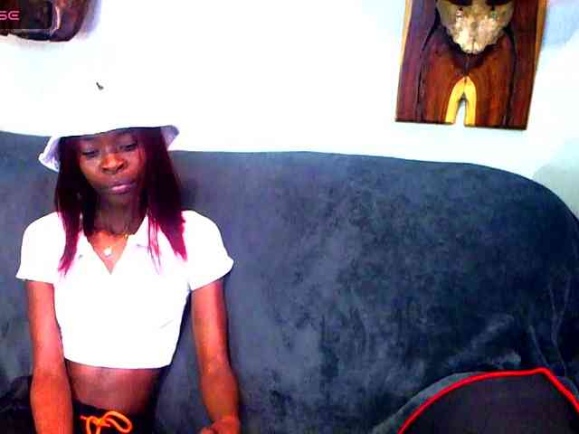 Natussi webcam