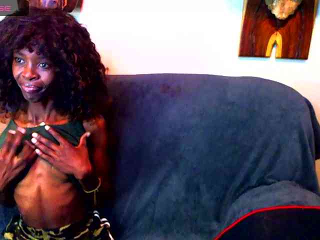 Model: Natussi