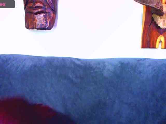 Natussi webcam