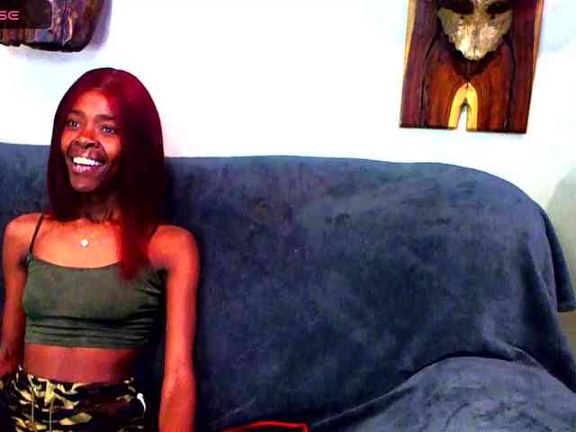 Natussi webcam