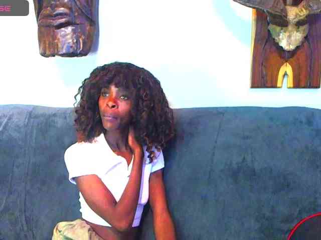 Natussi webcam