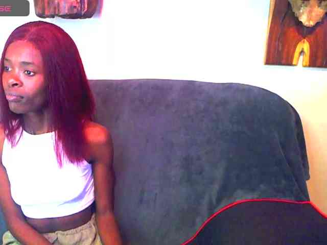 Natussi webcam