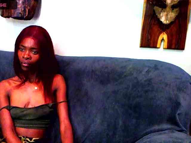 Model: Natussi