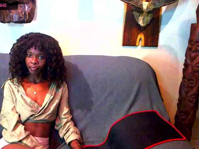 Natussi webcam