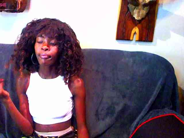 Natussi webcam