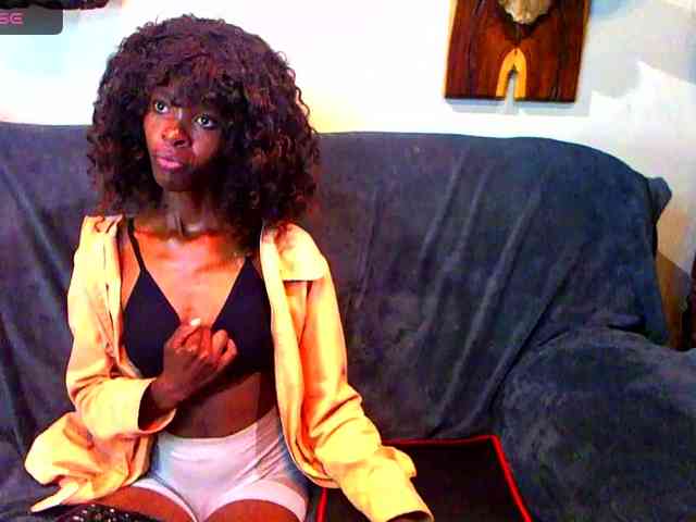 Model: Natussi