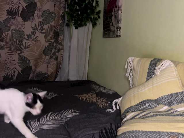 CassyVixen live cam on BongaCams