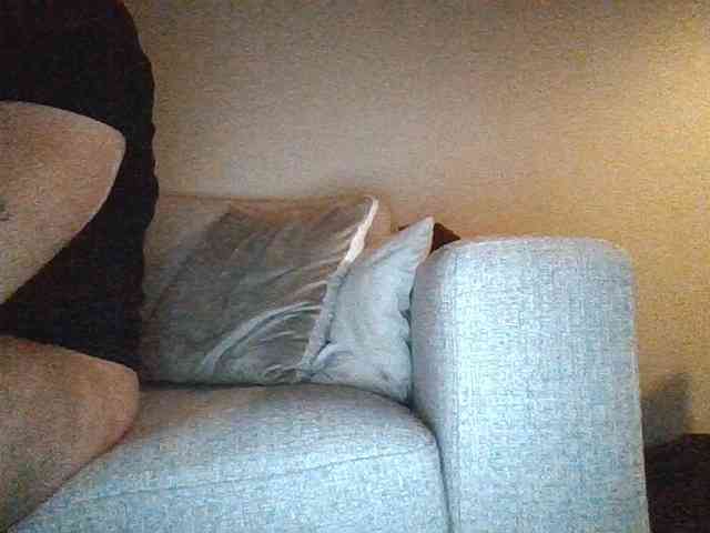 Youngstud37 webcam