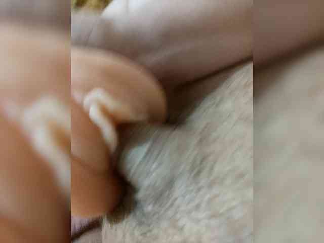 N080he080