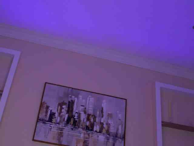 CeletialChole webcam