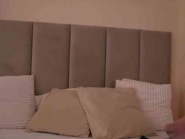 CeletialChole webcam