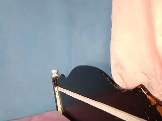 Candis02