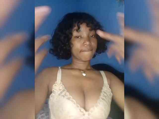 Modelo: Candis02