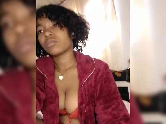 Modèle: Candis02