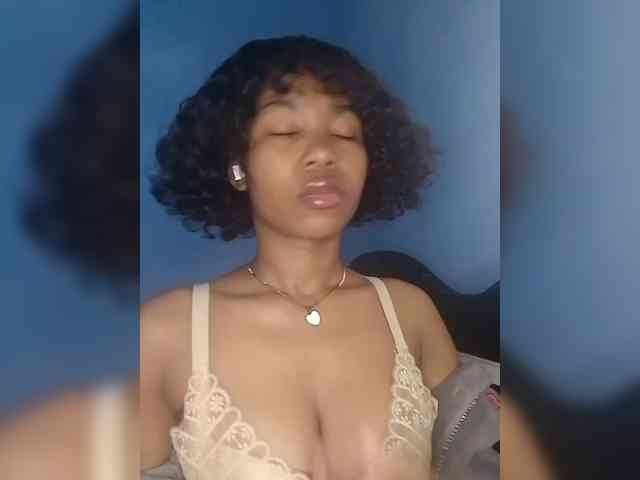 Modelo: Candis02