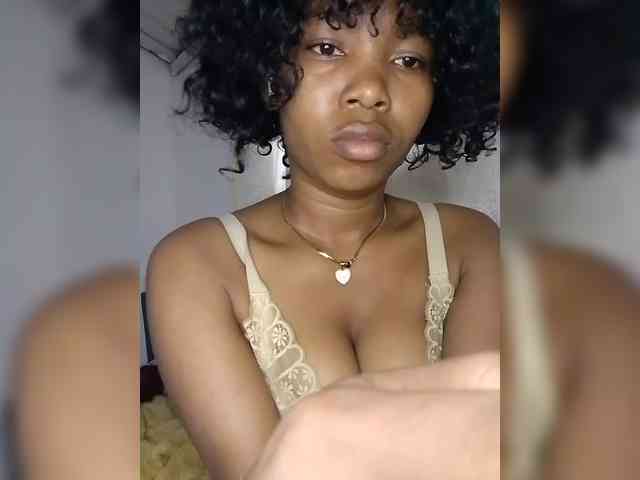 Modèle: Candis02