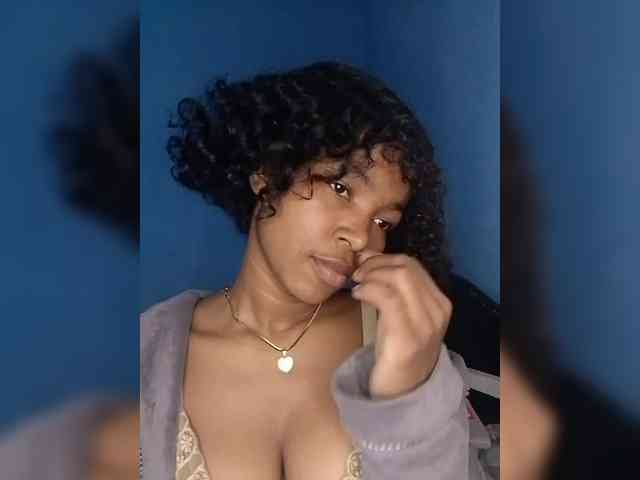 Modelo: Candis02