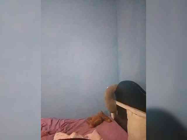 Candis02 webcam