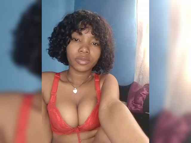 Modèle: Candis02