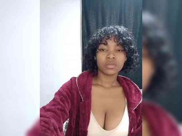 Modèle: Candis02