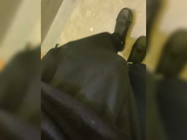 Mullus