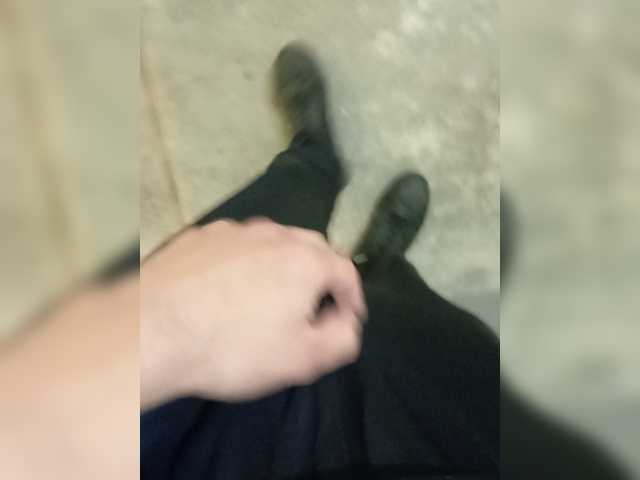 Mullus