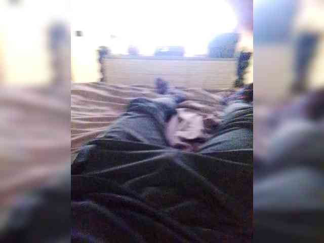 Mullus