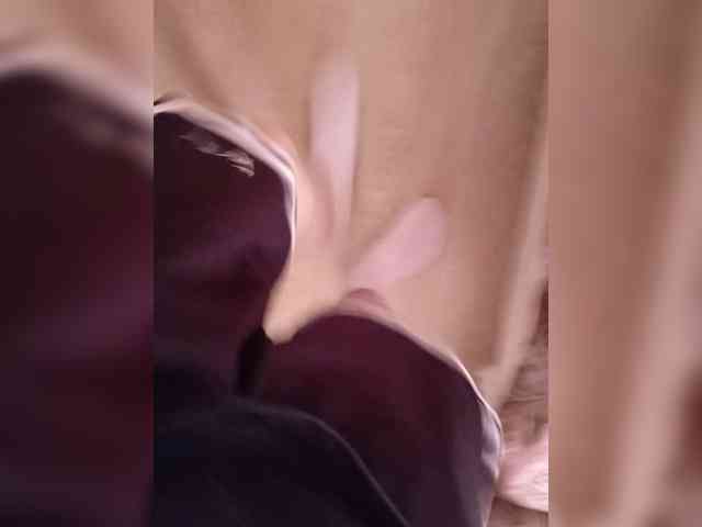 Mullus