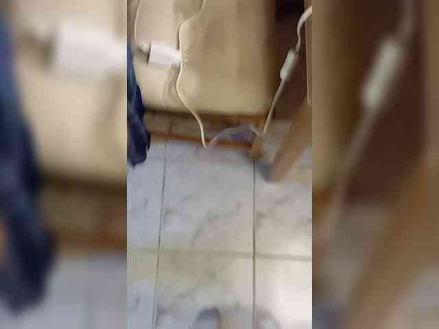 Mullus