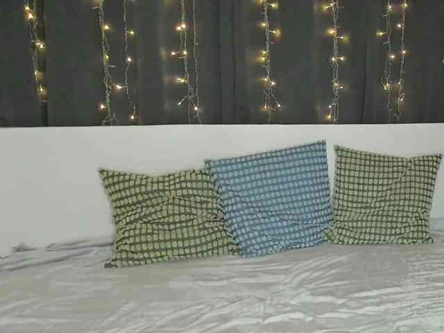 HarleyDreamer webcam