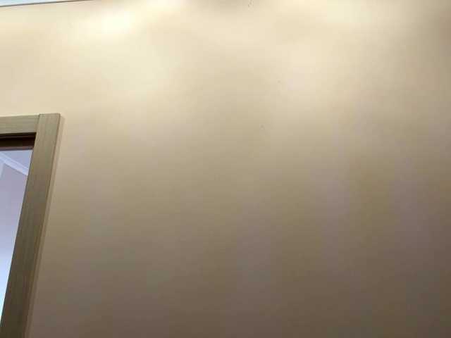 Preview of hildasoscia