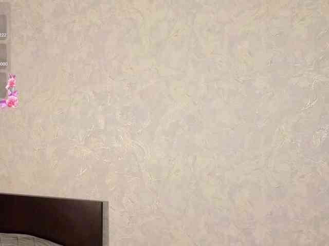 JaneAster webcam
