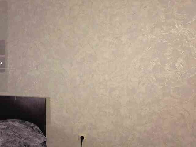 JaneAster webcam