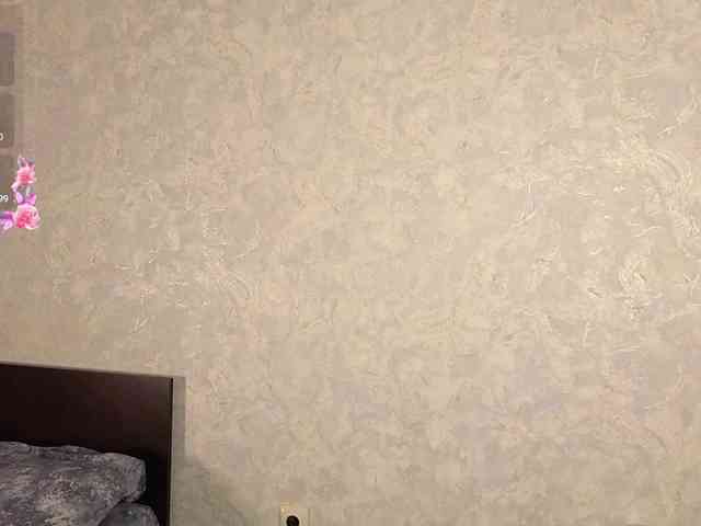 JaneAster webcam