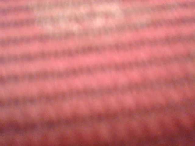 SexyBanni's BongaCams show and profile