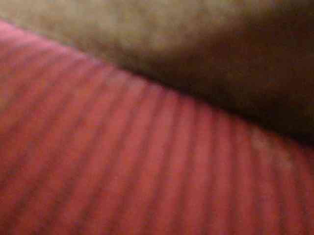 Monrax webcam