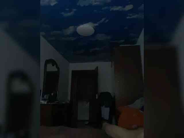 Sofia20099 webcam