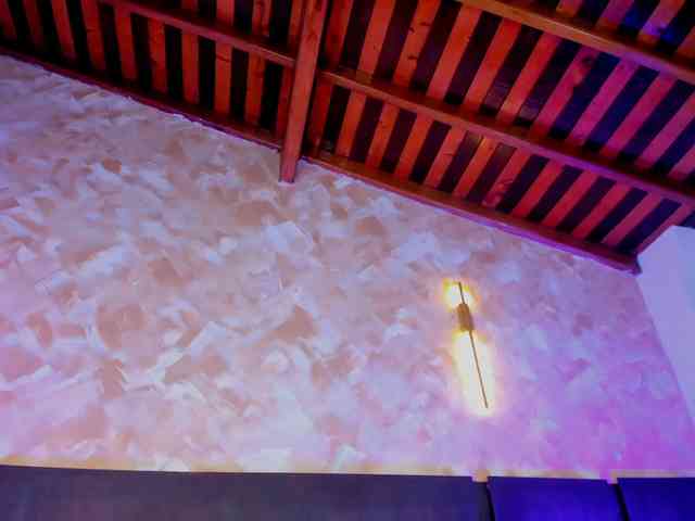 anny-arango webcam