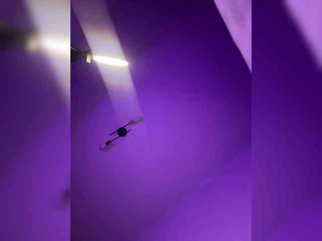 Milena7774 webcam