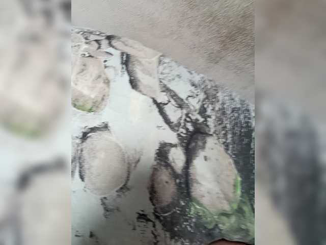 Preview of turboboost777