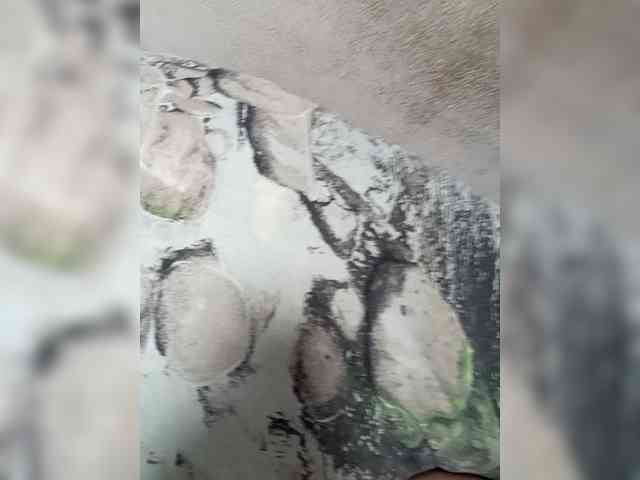 Модель: Turboboost777