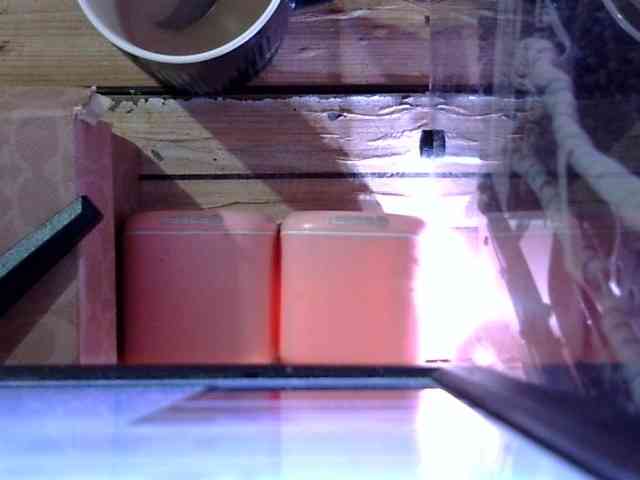MystiqueMiss webcam