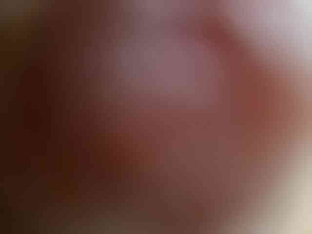Fox3040 webcam